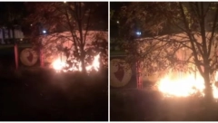 POŽAR PORED GASNOG POSTROJENJA Drama u Veterniku, sve je dokumentovano