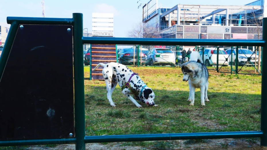 VETERINAR, FRIZER, HOTEL... Evo koliko Srbi potroše na pse svakog meseca