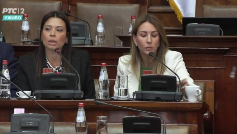 VUJOVIĆ O BUDUĆIM PLANOVIMA: Veći budžet za zelene projekte u narednoj godini