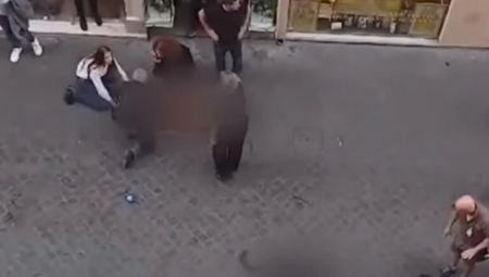 UZNEMIRUJUĆI SNIMAK! Jeziva scena u Rimu, rotvajler pao sa trećeg sprata na trudnicu