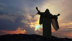 U BIBLIJI HRANU DELE NA ČISTU I NEČISTU Za svinjetinu, ribu i ptice postoje stroga pravila