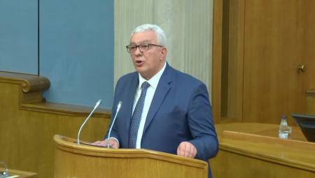 Mandić najavio dijalog o državljanstvu u Parlamentu
