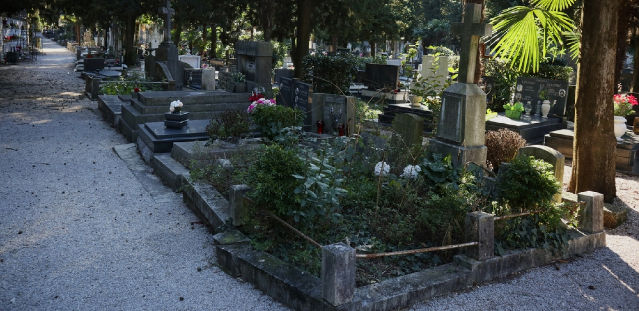 ČAČANSKO POGREBNO PREDUZEĆE POSTALO INFLUENSER?! Zbog ovih umrlica postali su hiper-popularni