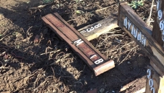 HOROR! POČUPALI KRSTOVE PO GROBLJU I POBACALI IH Stravičan vandalizam u Kikindi