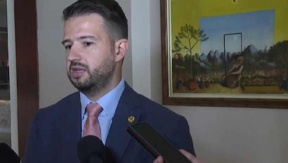 SA FRONTA U CRNU GORU Otkriveno šta je Zelenski dogovorio sa Milatovićem