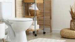 NATAŠA SKIDA KAMENAC SA WC ŠOLJE BEZ RIBANJA Po savetu komšinice, sipa 30 grama ovog praha, zasija kao nova!