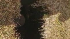 OTVORIO SE BEZDAN KOD KOSJERIĆA Meštani šokirani misterioznom crnom rupom u njivi