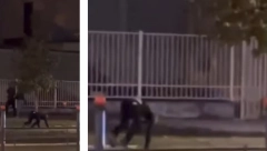 USRED NOĆI SKAČE PO ULICI I PENJE SE NA DRVO KAO ŠIMPANZA Snimak iz Novog Sada šokirao građane