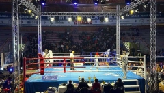 OGLASILI SE Bokseri tzv. Kosova žele u Beograd, pa provocirali posebnim uslovom