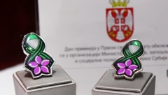 NATALIJINA RAMONDA Šta predstavlja biljka poznata kao "cvet feniks" i zašto se nosi kao bedž 11. novembra? (FOTO/VIDEO)