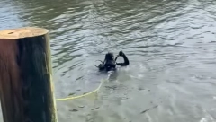 POTONUO JOŠ JEDAN SPLAV U BEOGRADU Unutrašnjost uništena, ronioci su u reci