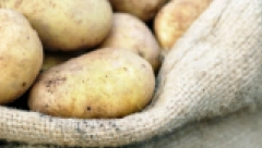 KUVANI KROMPIR NE SME DUGO DA STOJI Evo koliko dana može da se jede, sve preko toga može da bude opasno