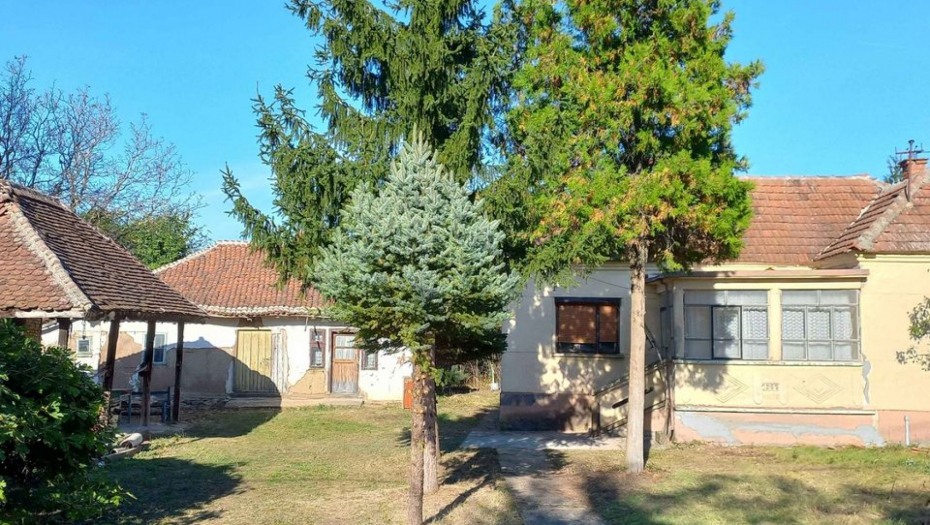 ZA TE PARE U BEOGRADU NEMA NIŠTA Đorđije prodaje 40 ari placa, sređenu kuću i voćnjak za samo 20.000 evra!