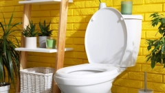 UJUTRO JE ČEKALO VELIKO IZNENAĐENJE Ubacila je tabletu za pranje sudova u WC šolju i ostavila da prenoći