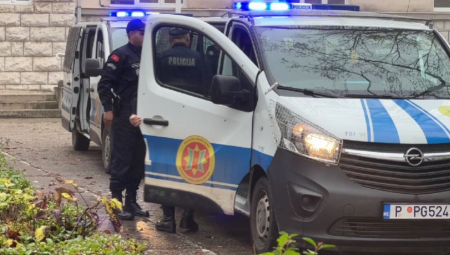 KOLAŠINAC UHAPŠEN ZBOG PALJENJA AUDIJA! U toku privođenja izvršio napad na službeno lice