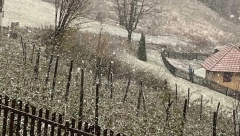 SNEG SE NE ŠALI, VEJE LI VEJE Vrh srpske planine se skroz zabeleo