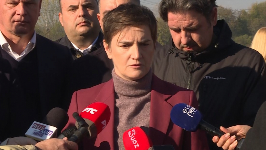 VOĐA PROTESTA U POŠTI MI JE PRETIO JAVNIM SILOVANJEM Brnabić raskrinkala čoveka koji je na listi "Srbija protiv nasilja"