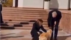 BLAM VEKA! Evo kako je dočekan predsednik Austrije u Moldaviji (VIDEO)