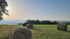 SVI IMAJU MANJE OD 30 GODINA, POBEGLI IZ GRADA NA SELO: Skoro 1.000 kuća u Srbiji kupljeno za "dž"