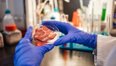 STROŽA KONTROLA TOKOM PRAZNIKA Uprava za veterinu vrši pojačan nadzor hrane životinjskog porekla