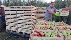 RADENKO IZ LATVICE SA SINOVIMA GAJI VOĆE NA 15 HEKTARA "Novakova rakija" stiže do Švajcarske