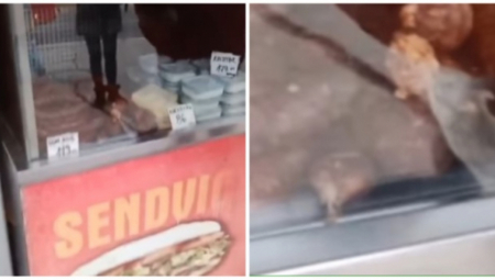 PREGADAN SNIMAK IZ BEOGRADSKE PRODAVNICE Glodar se prošetao po čajnim kobasicama, ljudi udarili na šalu