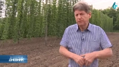 ZASADIŠ JEDNOM, RASTE 15 GODINA, DONOSI BOGATSTVO: Ratislav uzgaja pravo "blago" od biljke, država daje 700.000 kao podsticaj