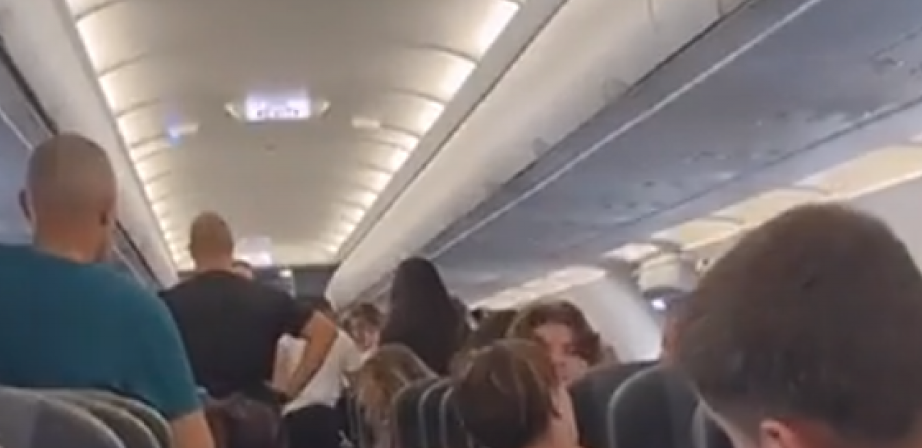 JEZIVA STVORENJA GMIŽU PO DELU GDE SE SKLADIŠTI HRANA Svi se pitaju kako su dospela ovde (VIDEO)