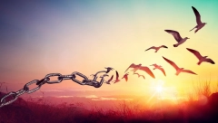 HOROSKOP ZA 1. JANUAR Lavu kriza u odnosu, Jarcu manji gubici, Raku sudbina naklonjena