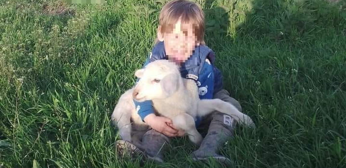 FEJSBUK GORI OD KOMENTARA ZBOG OBJAVE JEDNE MAJKE IZ BEOGRADA Stoko jedna, kako si to mogao da uradiš detetu od 3 godine?! (FOTO)