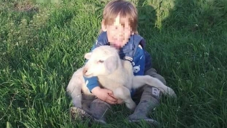 FEJSBUK GORI OD KOMENTARA ZBOG OBJAVE JEDNE MAJKE IZ BEOGRADA Stoko jedna, kako si to mogao da uradiš detetu od 3 godine?! (FOTO)