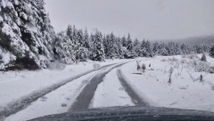 SNEG NAPRAVIO KOLAPS U SRBIJI Ova mesta potpuno zavejana, evo gde je proglašena vanredna situacija (FOTO/VIDEO)