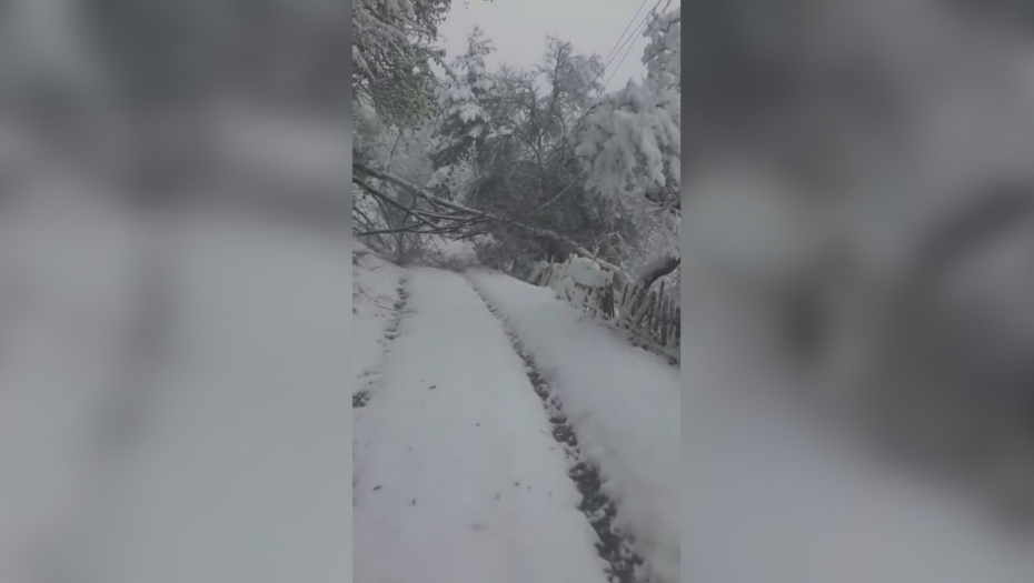 OPET PARALISANO PRIJEPOLJE, 1.000 LJUDI BEZ STRUJE Ovo su najkritičnije tačke, SVE EKIPE SU NA TERENU (FOTO)