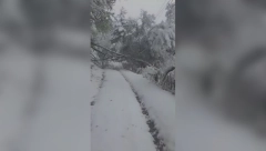 OPET PARALISANO PRIJEPOLJE, 1.000 LJUDI BEZ STRUJE Ovo su najkritičnije tačke, SVE EKIPE SU NA TERENU (FOTO)
