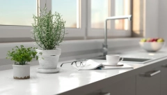 OVA BILJKA ODLIČNA JE U NEZI KOSE I KOŽE I DIVNO MIRIŠE Sledite ova pravila da biste pravilno gajili ruzmarin u stanu