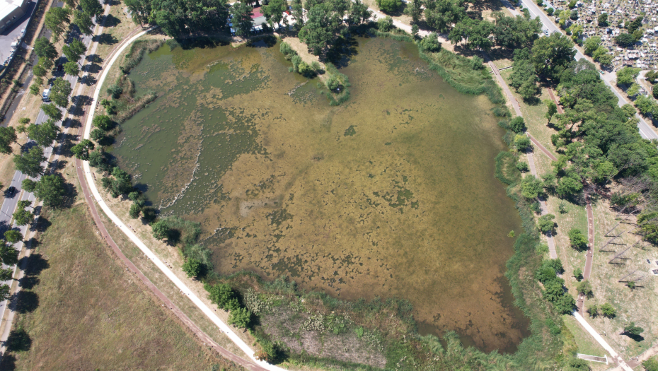 NEOBIČNO JEZERO U OBLIKU SRCA Postalo jedinstvena turistička atrakcija u Šumadiji