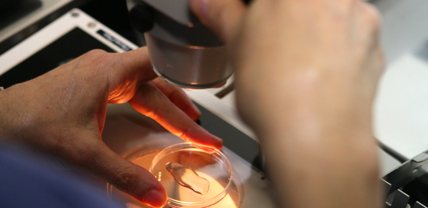 STAROSNA GRANICA PODIGNUTA NA 45 GODINA Za godinu dana 2.000 žena se prijavilo za oplodnju doniranim ćelijama o trošku države