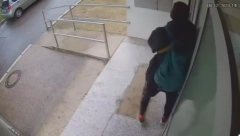 SNIMLJENA DIVLJAČINA IZ RAKOVICE Gledajte smo šta radi u zgradama usred bela dana