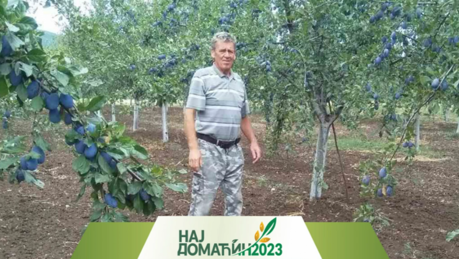 DRAGIŠA JE STARE SORTE SAČUVAO U VOĆNJAKU Rakiju pravi od organske šljive, zemlja se plavi od ploda