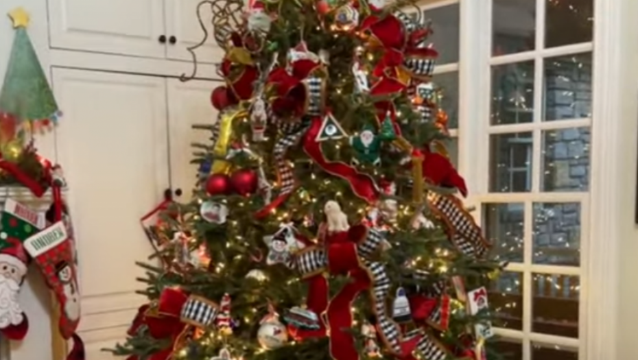 OKITILI JELKU, PA DOŽIVELI ŠOK Životinja se 4 dana krila u ukrašenom drvetu, kada su saznali ko im živi u kući samo što se nisu onesvestili (VIDEO)