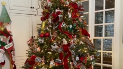 OKITILI JELKU, PA DOŽIVELI ŠOK Životinja se 4 dana krila u ukrašenom drvetu, kada su saznali ko im živi u kući samo što se nisu onesvestili (VIDEO)