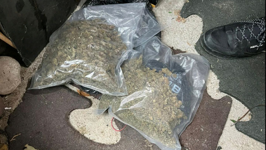 HAPŠENJE DILERA U NIŠU Zaplenjeno više od tri kilograma marihuane i pištolj