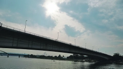 NESVAKIDAŠNJA SCENA NA BRANKOVOM MOSTU! Vozači šokirani zaobilazili NEOBIČNOG gosta, njemu se niko nije nadao! (FOTO)