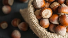 BRANKO PRODAJE PLANTAŽU LEŠNIKA: Daje plac s vikendicom i razrađenim biznisom!