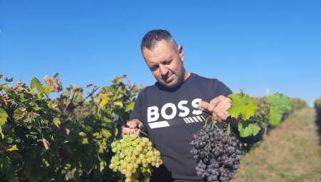 NENAD I NJEGOV SIN SU RAZVILI OZBILJAN BIZNIS: Ove godine prodali su 10 TONA,  prve klase je, a CENA...