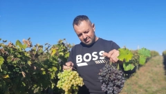 NENAD I NJEGOV SIN SU RAZVILI OZBILJAN BIZNIS: Ove godine prodali su 10 TONA,  prve klase je, a CENA...