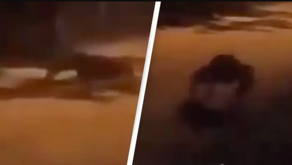 "KAO DA JE IZAŠLO IZ PAKLA" Kamera snimila jezivo čudovište, društvene mreže se usijale (FOTO)