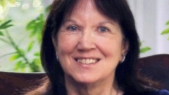 MRAVI JE SPASILI SIGURNE SMRTI Pala sa visine od 4.500 metara, i onda se desilo čudo