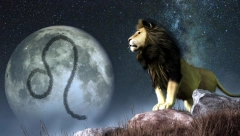 LAV - VELIKI GODIŠNJI HOROSKOP ZA 2024. Ljubavna situacija biće nestabilna, zdravlje će biti ugroženo, obratite pažnju na pritisak