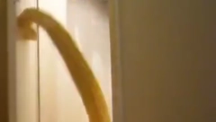 ČOVEK JE MIRNO LEŽAO U SOBI, A ONDA...  Ljudi u neverici, šta se ovde dešava? (VIDEO)